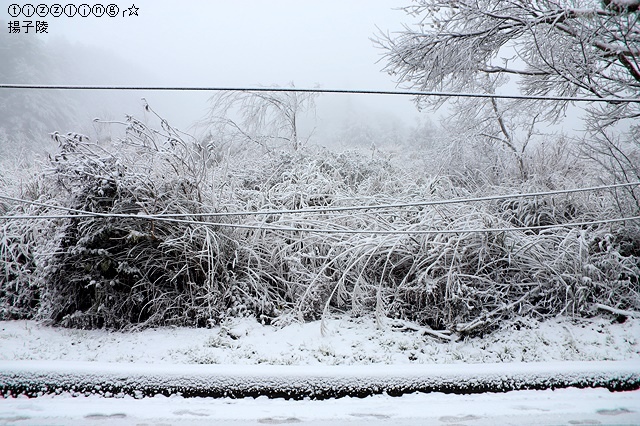 那一年宜蘭太平山下雪｜見晴懷古步道｜思源啞口，一起漫步在銀白