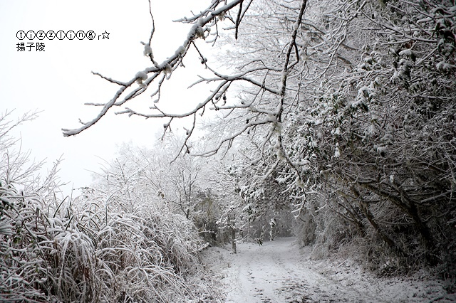 那一年宜蘭太平山下雪｜見晴懷古步道｜思源啞口，一起漫步在銀白