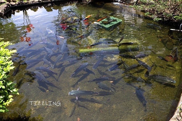 2021宜蘭礁溪碗公手作無菜單料理,超霸氣豪華上菜美食秀