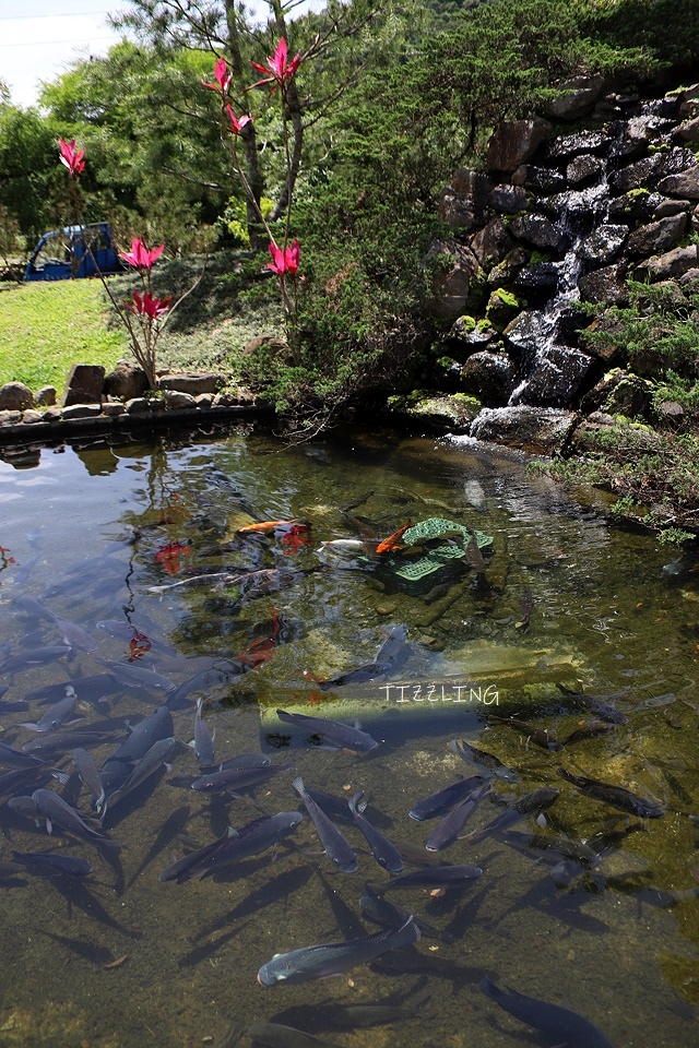 2021宜蘭礁溪碗公手作無菜單料理,超霸氣豪華上菜美食秀