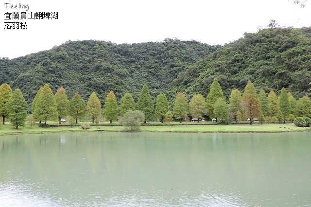 2024落羽松景點懶人包，秋冬季節浪漫氛圍限定版，FB / 