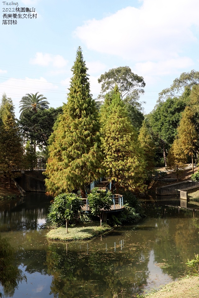 2024落羽松景點懶人包，秋冬季節浪漫氛圍限定版，FB / 