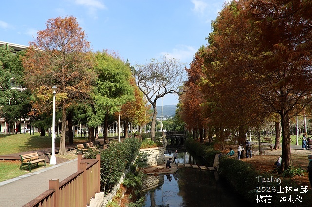 2024落羽松景點懶人包，秋冬季節浪漫氛圍限定版，FB / 