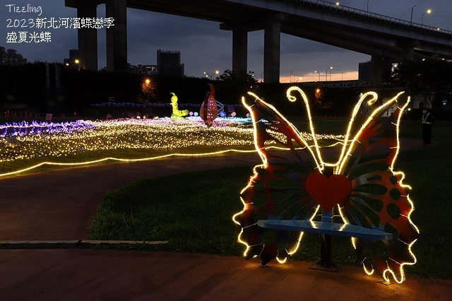 2025新北河濱蝶戀季、初夏奇境🦋，活動日期：2025/05