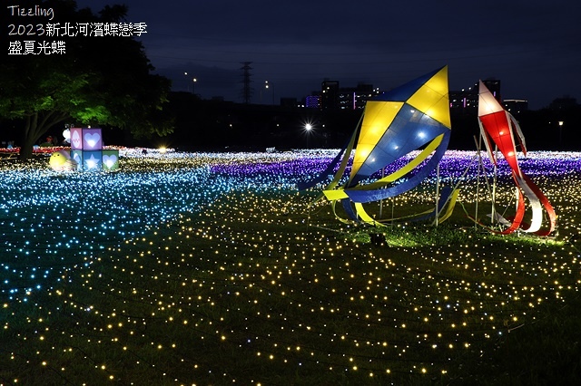 2025新北河濱蝶戀季、初夏奇境🦋，活動日期：2025/05