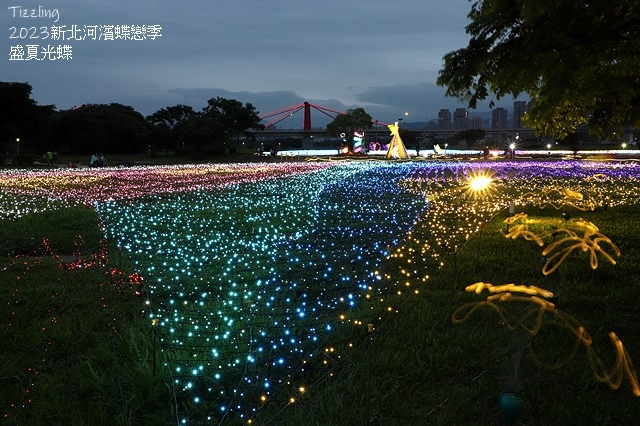 2025新北河濱蝶戀季、初夏奇境🦋，活動日期：2025/05