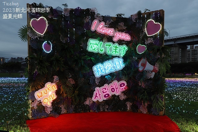 2025新北河濱蝶戀季、初夏奇境🦋，活動日期：2025/05