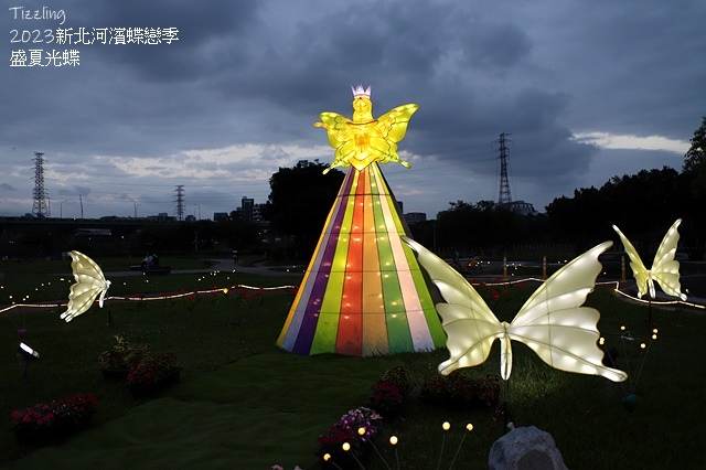 2025新北河濱蝶戀季、初夏奇境🦋，活動日期：2025/05