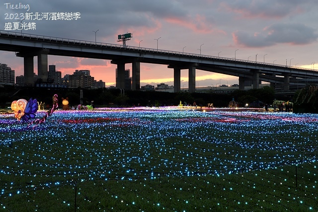 2025新北河濱蝶戀季、初夏奇境🦋，活動日期：2025/05