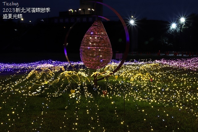 2025新北河濱蝶戀季、初夏奇境🦋，活動日期：2025/05