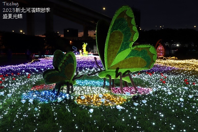 2025新北河濱蝶戀季、初夏奇境🦋，活動日期：2025/05