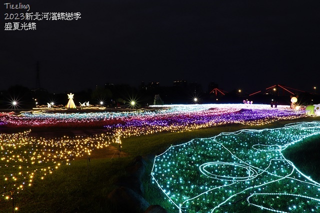 2025新北河濱蝶戀季、初夏奇境🦋，活動日期：2025/05