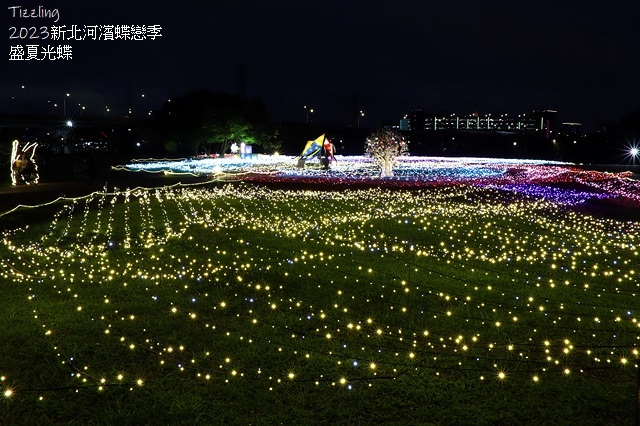 2025新北河濱蝶戀季、初夏奇境🦋，活動日期：2025/05