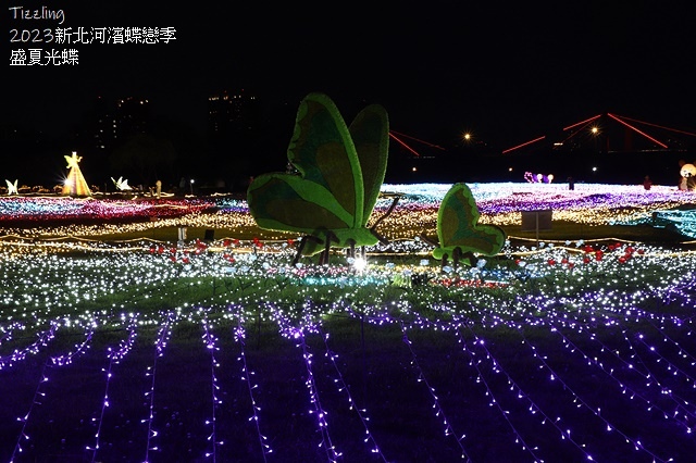 2025新北河濱蝶戀季、初夏奇境🦋，活動日期：2025/05