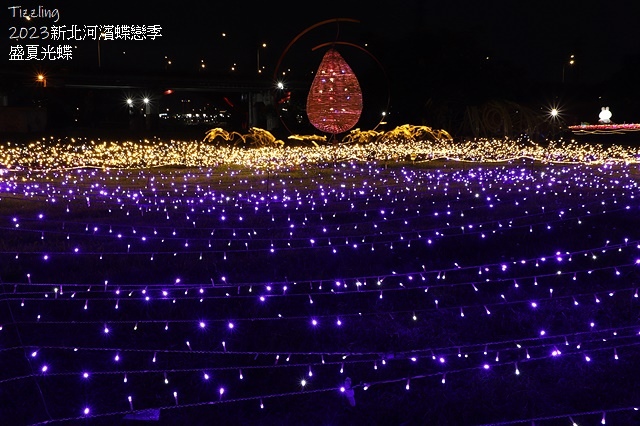 2025新北河濱蝶戀季、初夏奇境🦋，活動日期：2025/05