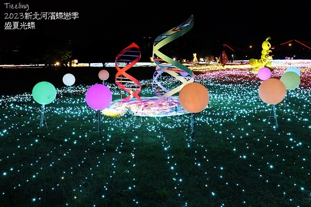 2025新北河濱蝶戀季、初夏奇境🦋，活動日期：2025/05