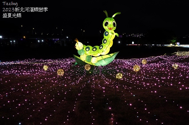 2025新北河濱蝶戀季、初夏奇境🦋，活動日期：2025/05