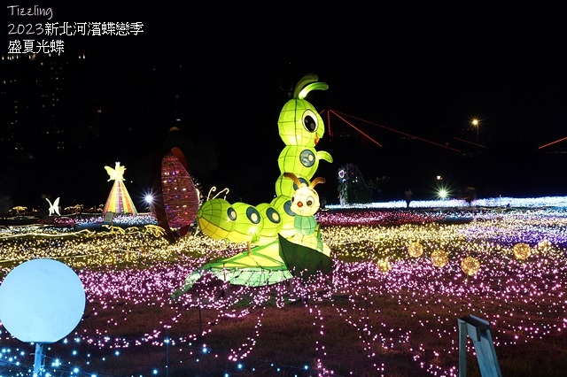 2025新北河濱蝶戀季、初夏奇境🦋，活動日期：2025/05