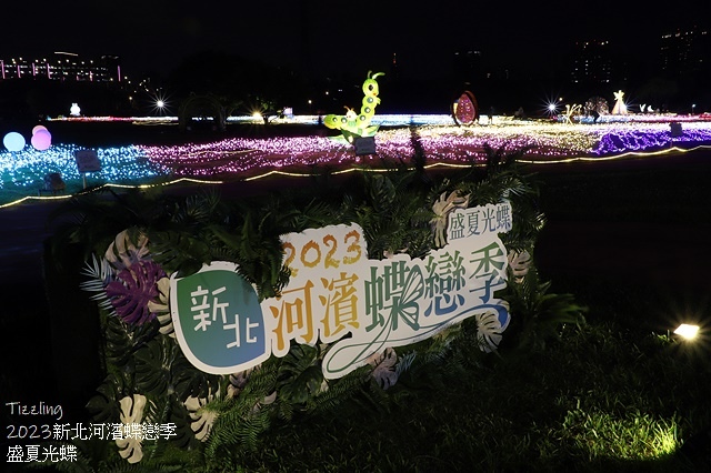 2025新北河濱蝶戀季、初夏奇境🦋，活動日期：2025/05