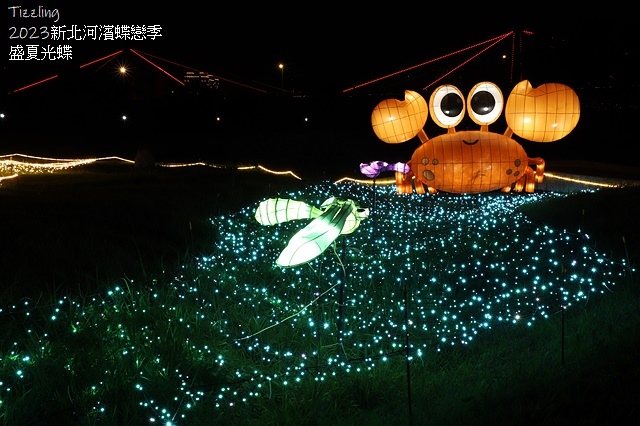 2025新北河濱蝶戀季、初夏奇境🦋，活動日期：2025/05