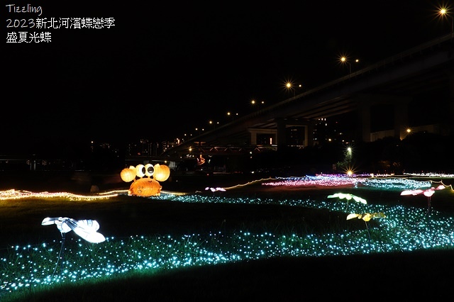 2025新北河濱蝶戀季、初夏奇境🦋，活動日期：2025/05