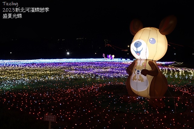 2025新北河濱蝶戀季、初夏奇境🦋，活動日期：2025/05