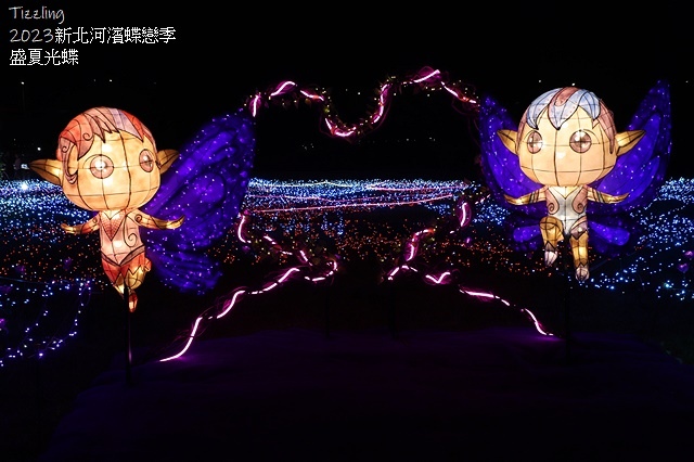 2025新北河濱蝶戀季、初夏奇境🦋，活動日期：2025/05
