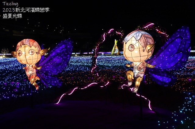 2025新北河濱蝶戀季、初夏奇境🦋，活動日期：2025/05