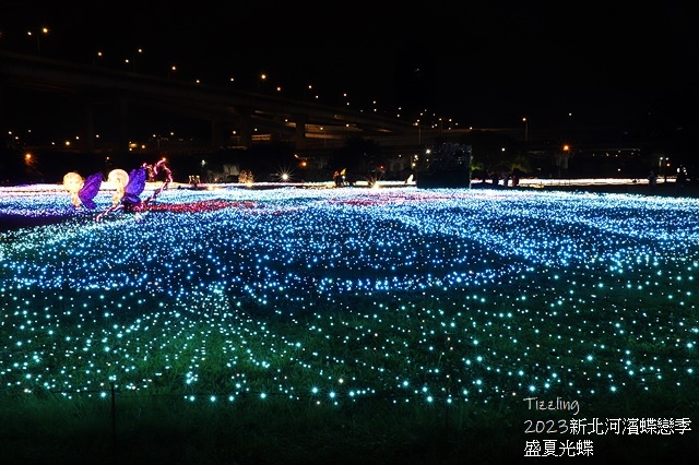 2025新北河濱蝶戀季、初夏奇境🦋，活動日期：2025/05