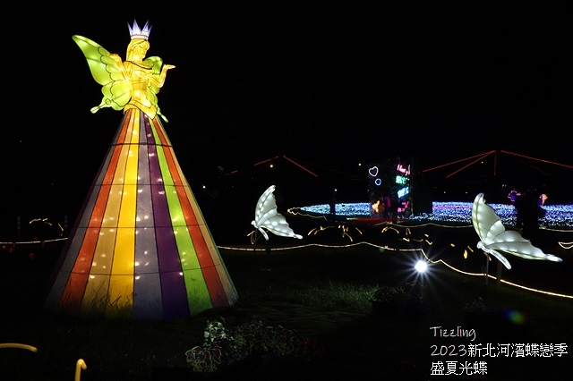 2025新北河濱蝶戀季、初夏奇境🦋，活動日期：2025/05