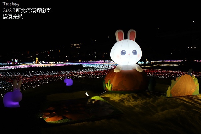 2025新北河濱蝶戀季、初夏奇境🦋，活動日期：2025/05