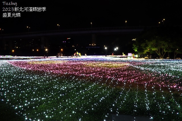 2025新北河濱蝶戀季、初夏奇境🦋，活動日期：2025/05