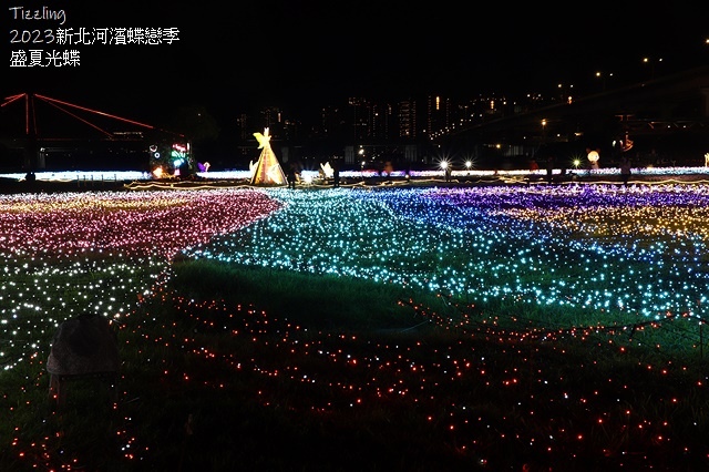 2025新北河濱蝶戀季、初夏奇境🦋，活動日期：2025/05