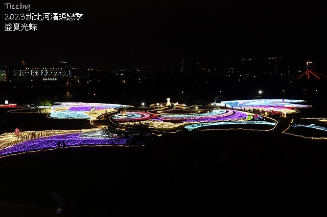 2025新北河濱蝶戀季、初夏奇境🦋，活動日期：2025/05