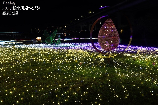 2025新北河濱蝶戀季、初夏奇境🦋，活動日期：2025/05