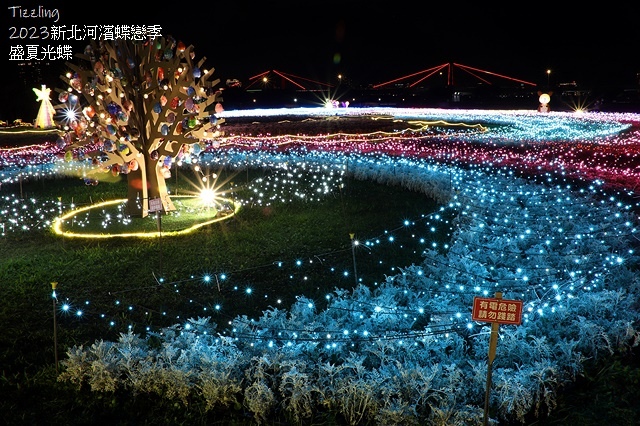 2025新北河濱蝶戀季、初夏奇境🦋，活動日期：2025/05