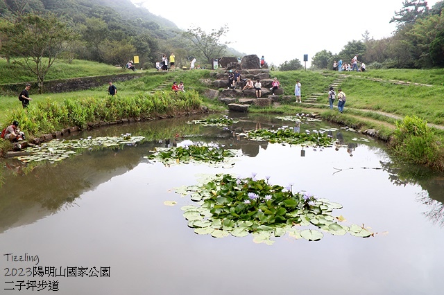 2023陽明山國家公園｜二子坪步道，天涼好個秋踏青趣～