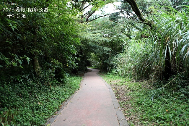 2023陽明山國家公園｜二子坪步道，天涼好個秋踏青趣～