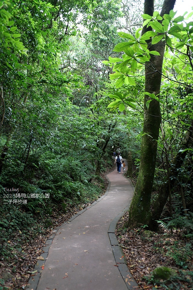 2023陽明山國家公園｜二子坪步道，天涼好個秋踏青趣～