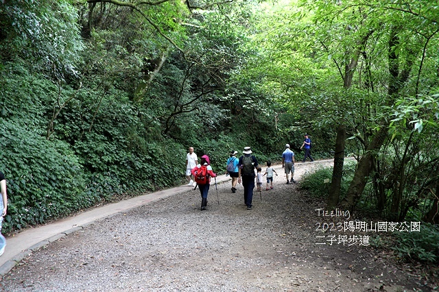 2023陽明山國家公園｜二子坪步道，天涼好個秋踏青趣～