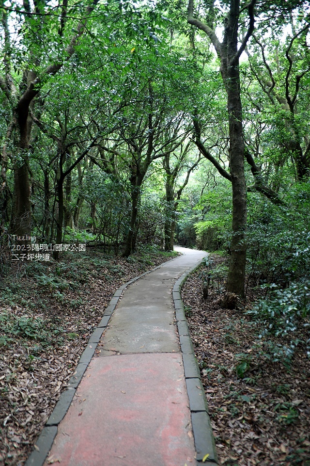 2023陽明山國家公園｜二子坪步道，天涼好個秋踏青趣～