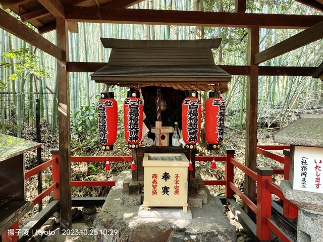 2023環遊關西第2天(上)｜京都嵐山竹林小徑｜京都野宮神社