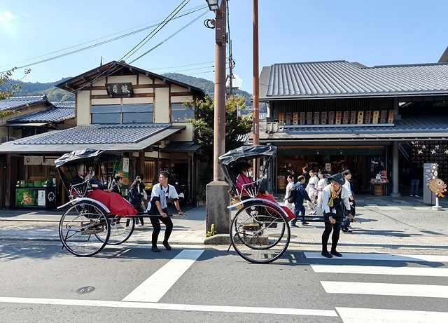 2023環遊關西第2天(上)｜京都嵐山竹林小徑｜京都野宮神社