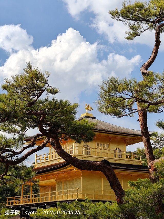 2023環遊關西第2天(上)｜京都嵐山竹林小徑｜京都野宮神社