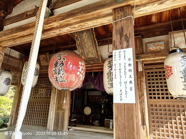 2023環遊關西第2天(上)｜京都嵐山竹林小徑｜京都野宮神社