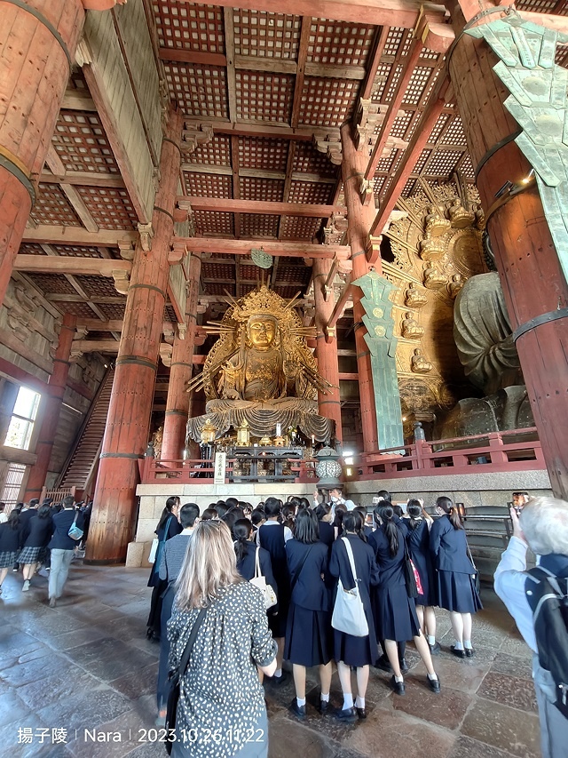 2023環遊關西第3天(上)｜世界文化遺產：東大寺｜東大寺大