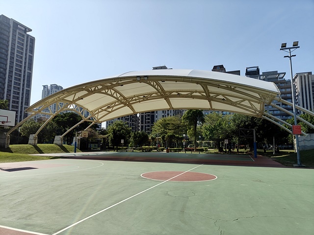 2025新北新莊，頭前運動公園迷你版落羽松美景，1/13即時