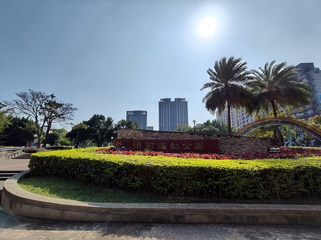 2024新北新莊，頭前運動公園迷你版落羽松美景，01/12即