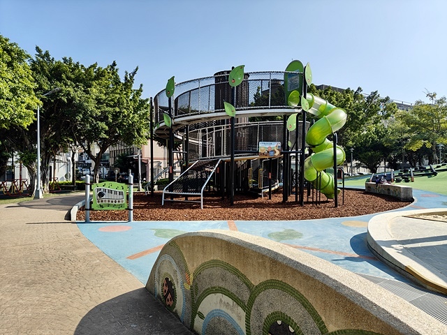 2025新北新莊，頭前運動公園迷你版落羽松美景，1/13即時