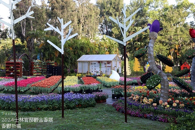 2024士林官邸鬱金香展🌹｜香鬱祈福，展出日期：2024/0